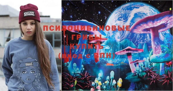 гидропоника Абаза