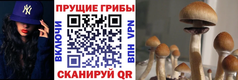 Галлюциногенные грибы GOLDEN TEACHER  Канск 