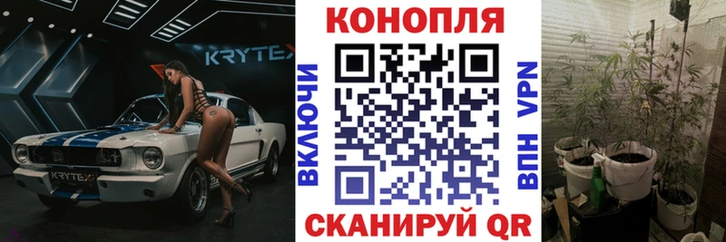 Каннабис семена  наркошоп  Канск 